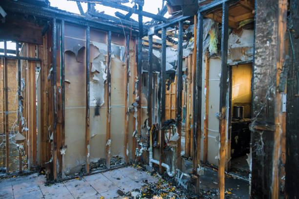 Professional Fire Damage Removal technician working in Benson, AZ